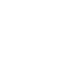 joule